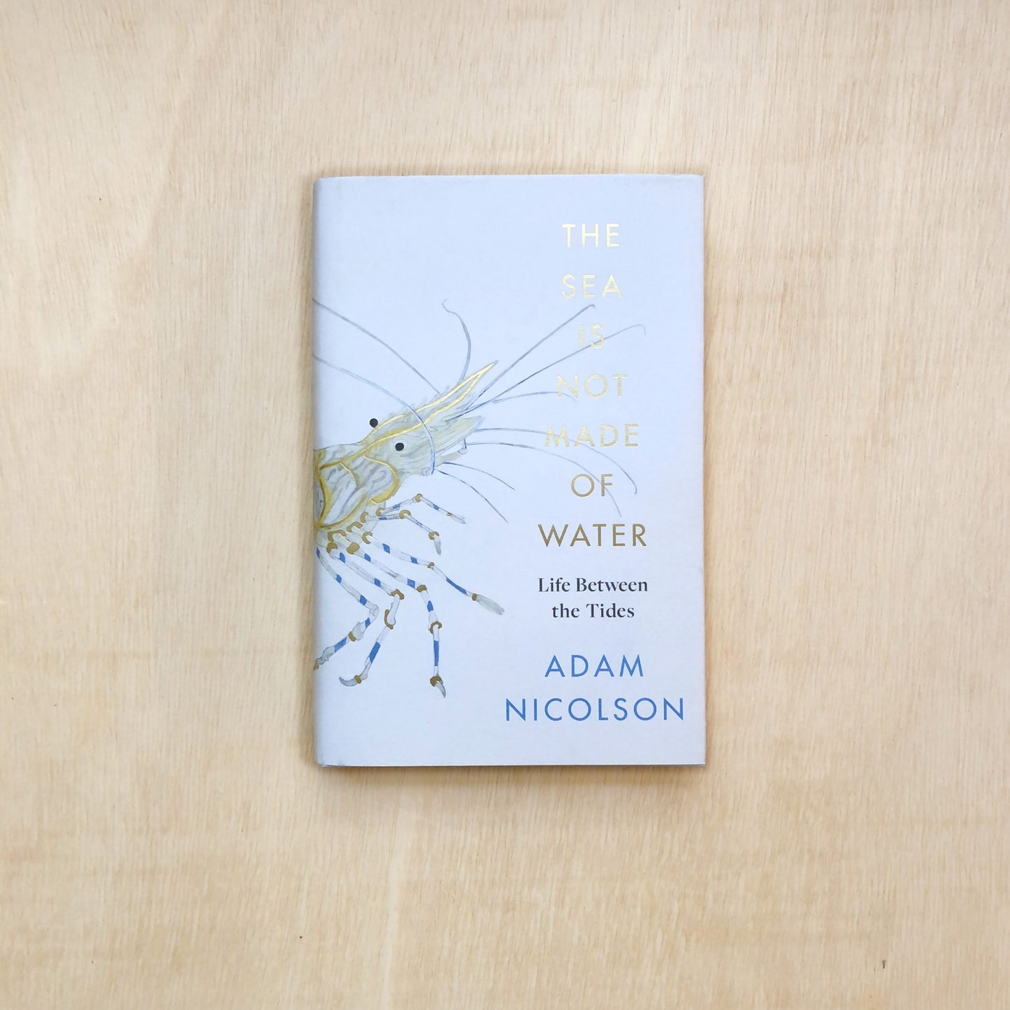 The Sea is Not Made of Water: Life Between the Tides