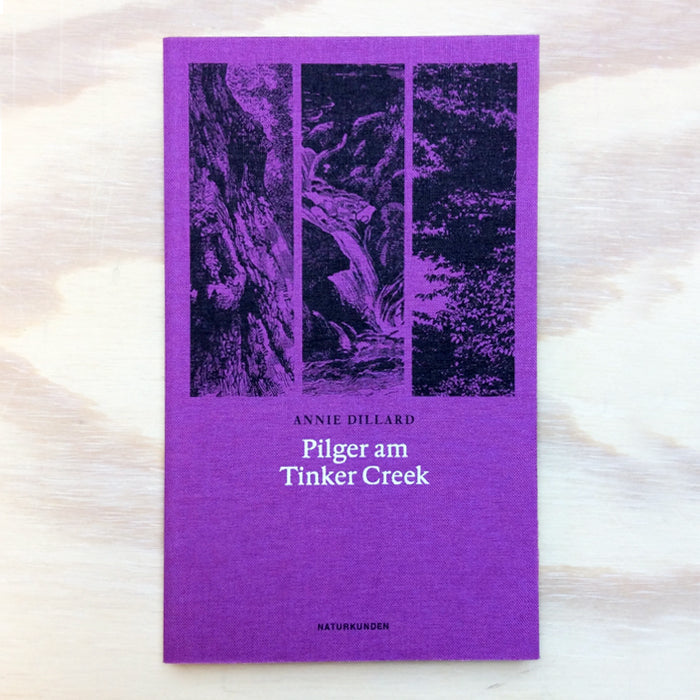 Pilger am Tinker Creek