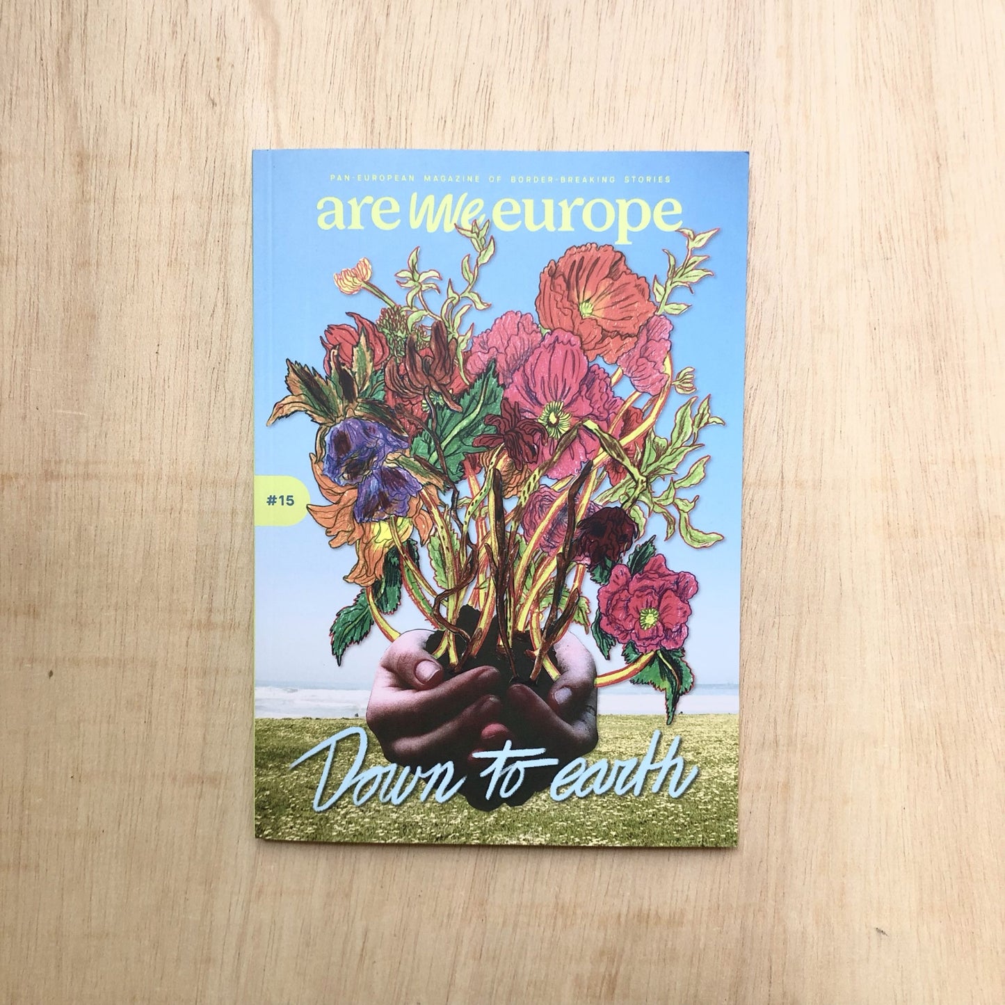 are we europe - issue 15 - down to earth