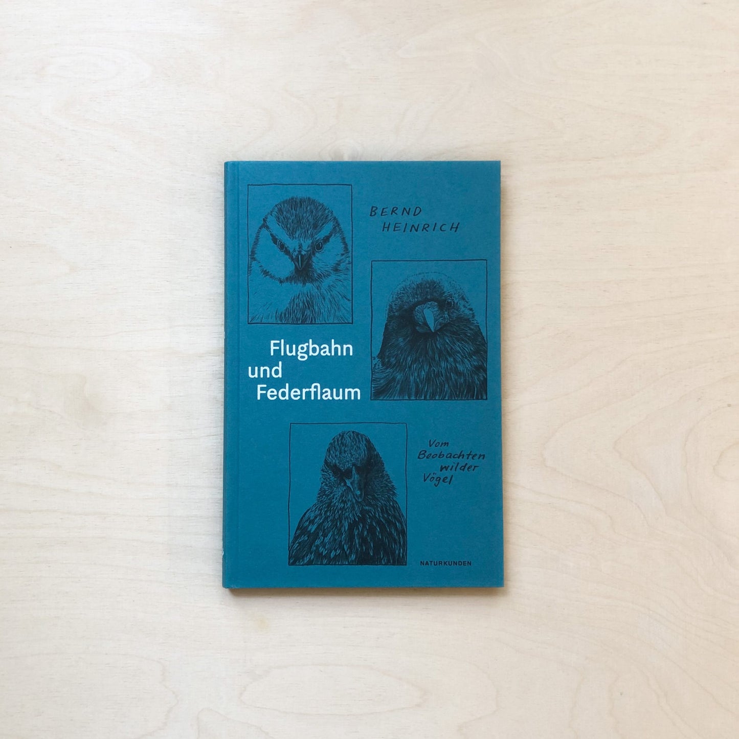 Flugbahn und Federflaum - Vom Beobachten wilder Vögel