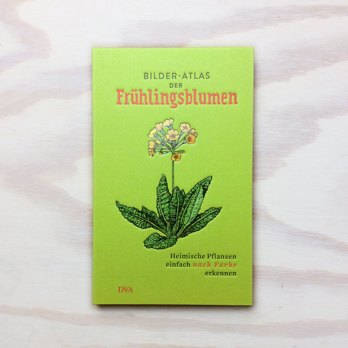 Bilder-Atlas der Frühlingsblumen