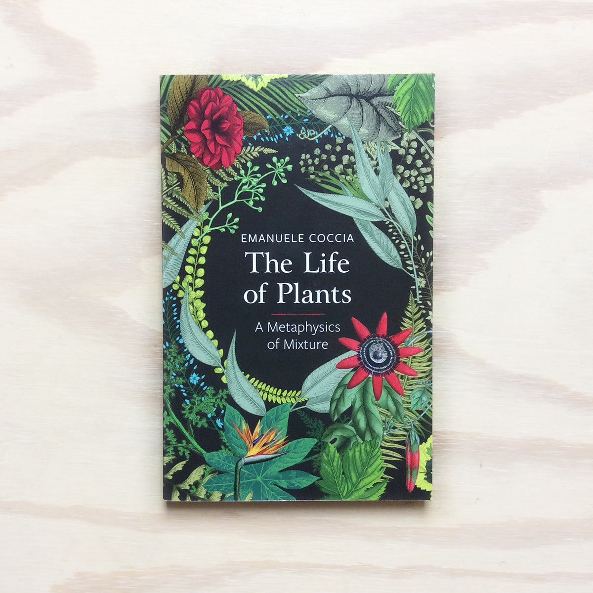 The Life of Plants - A Metaphysics of Mixture