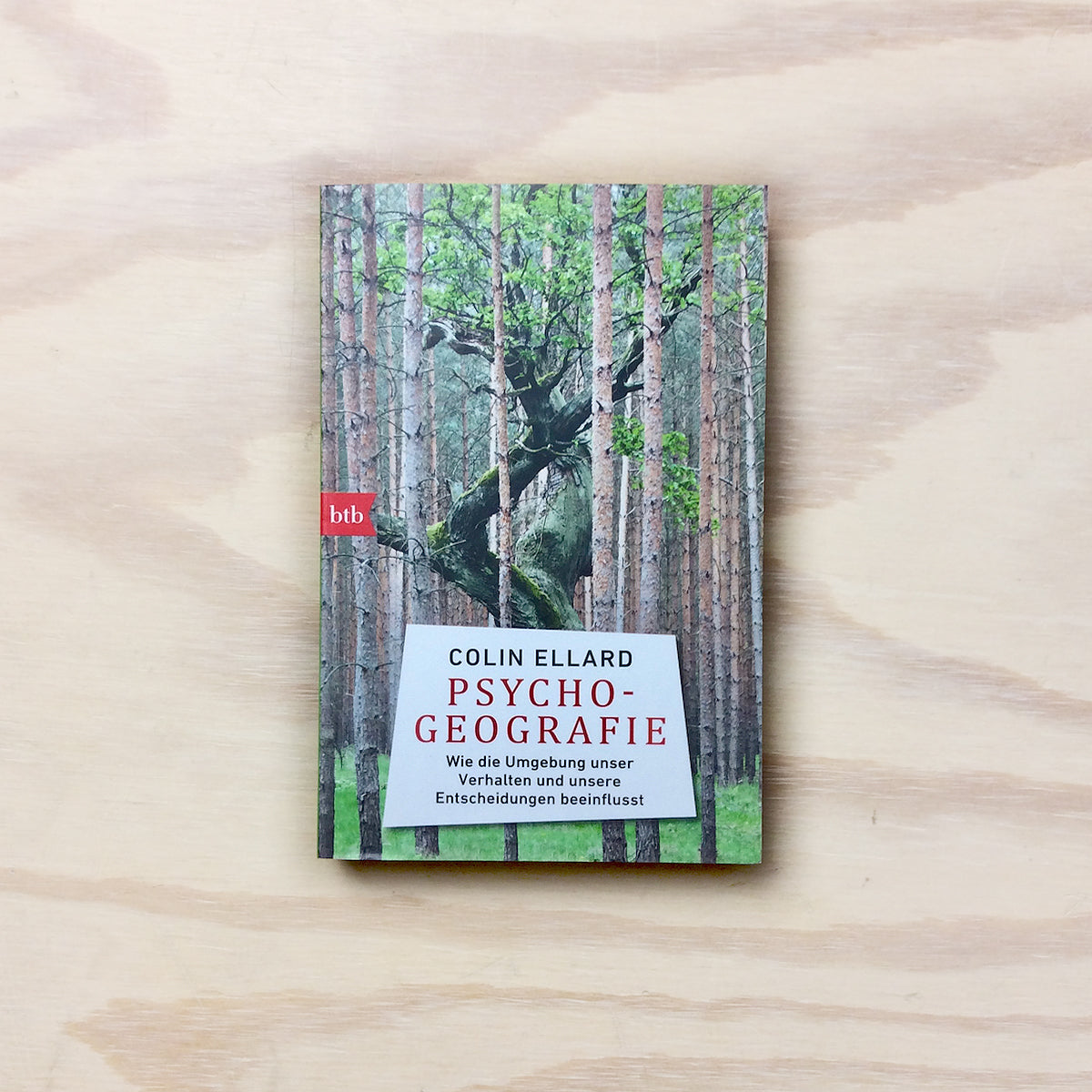 Psychogeografie - Wie die Umgebung unser Verhalten und unsere En