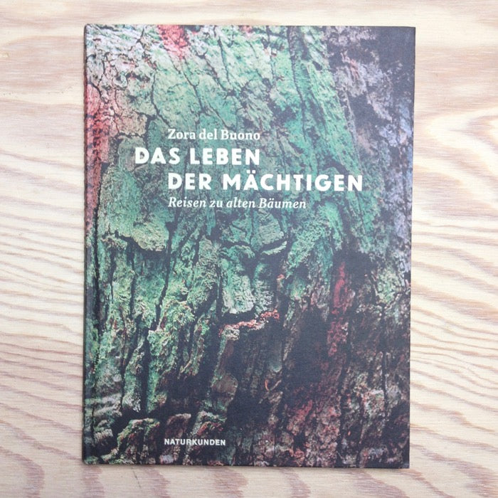 Das Leben der Mächtigen - Reisen zu alten Bäumen