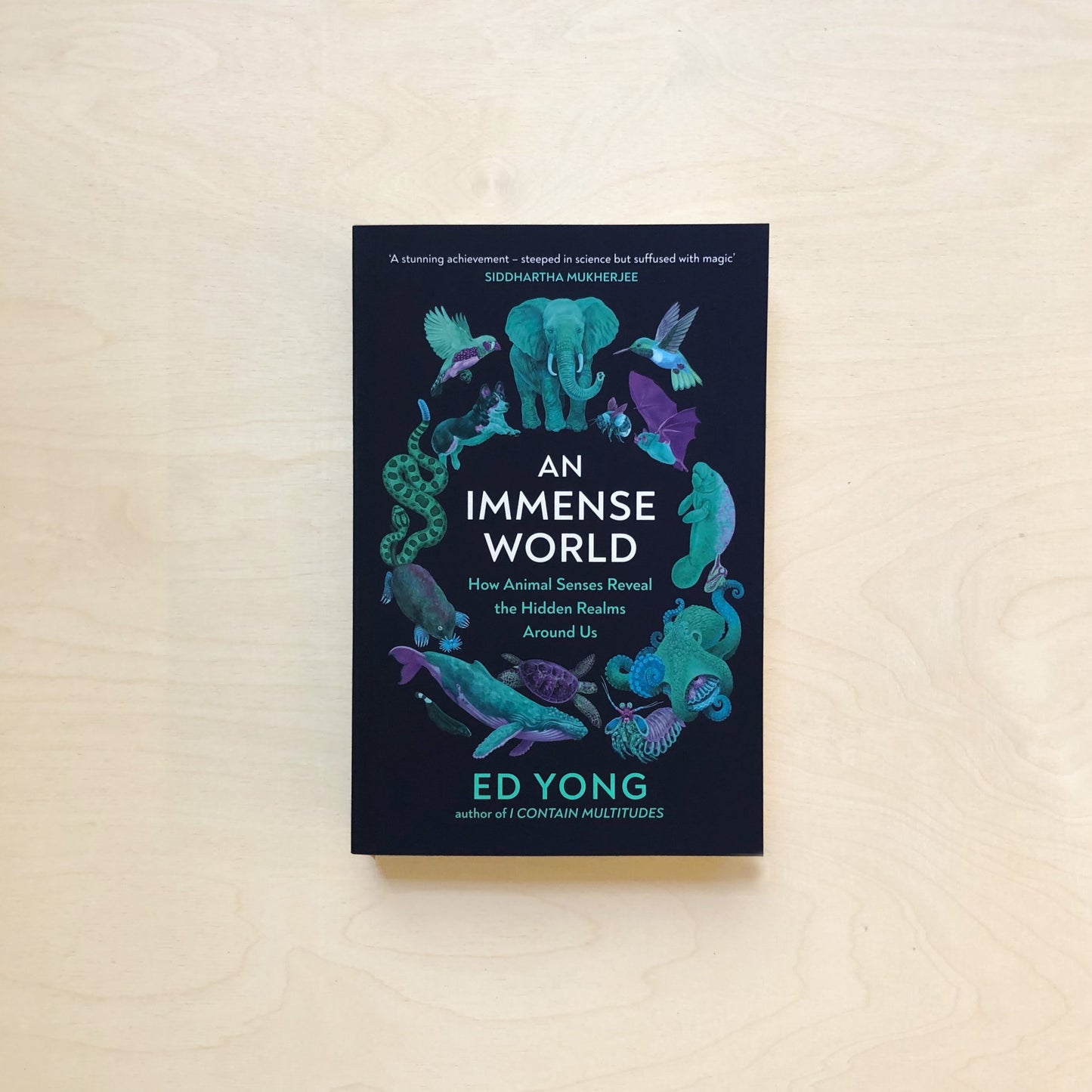 An Immense World - How Animal Senses Reveal the Hidden Realms Around Us