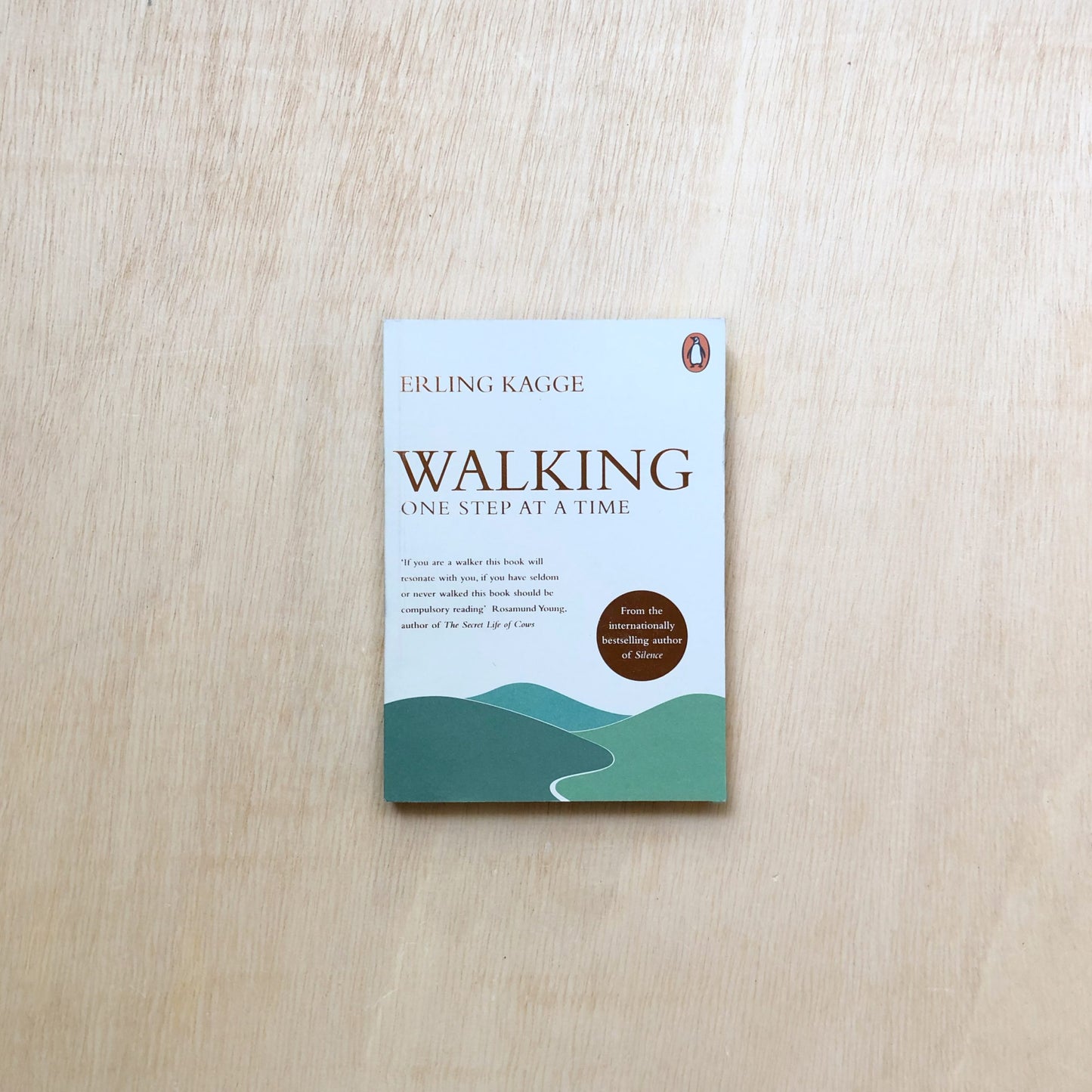 Walking - One Step at a Time