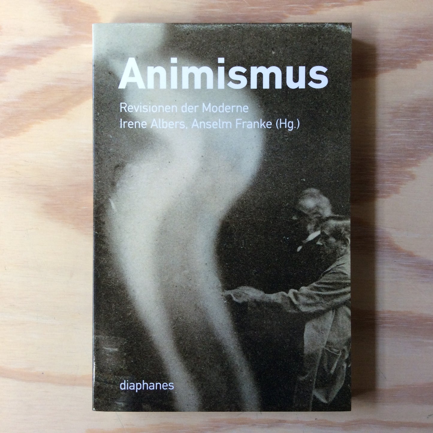 Animismus - Revisionen der Moderne