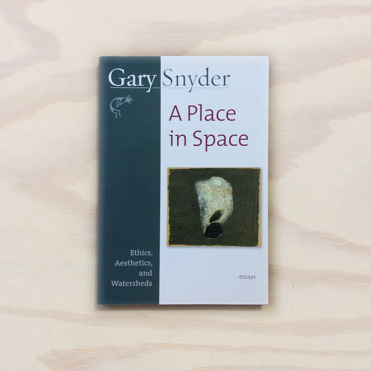 A Place in Space: Ethics, Aesthetics, and Watersheds