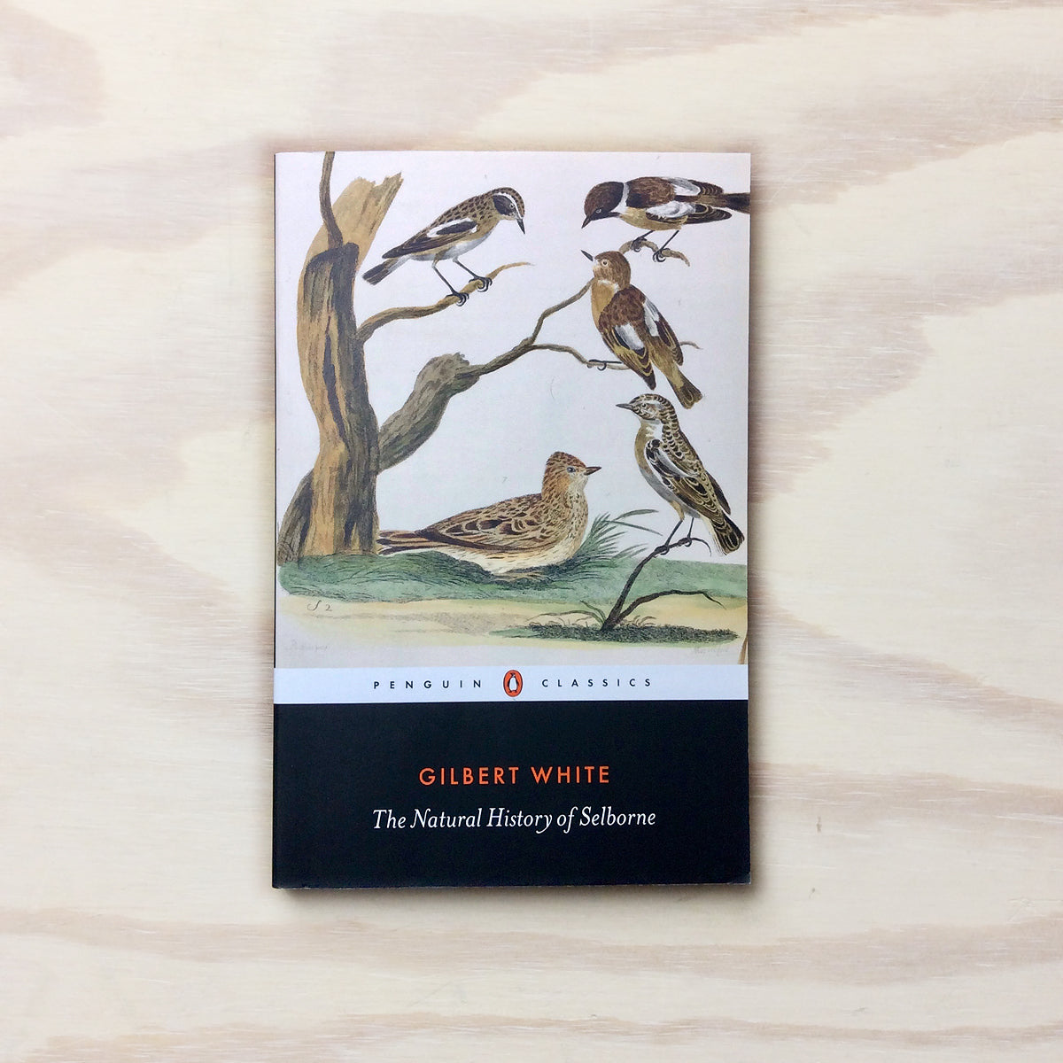 The Natural History of Selborne