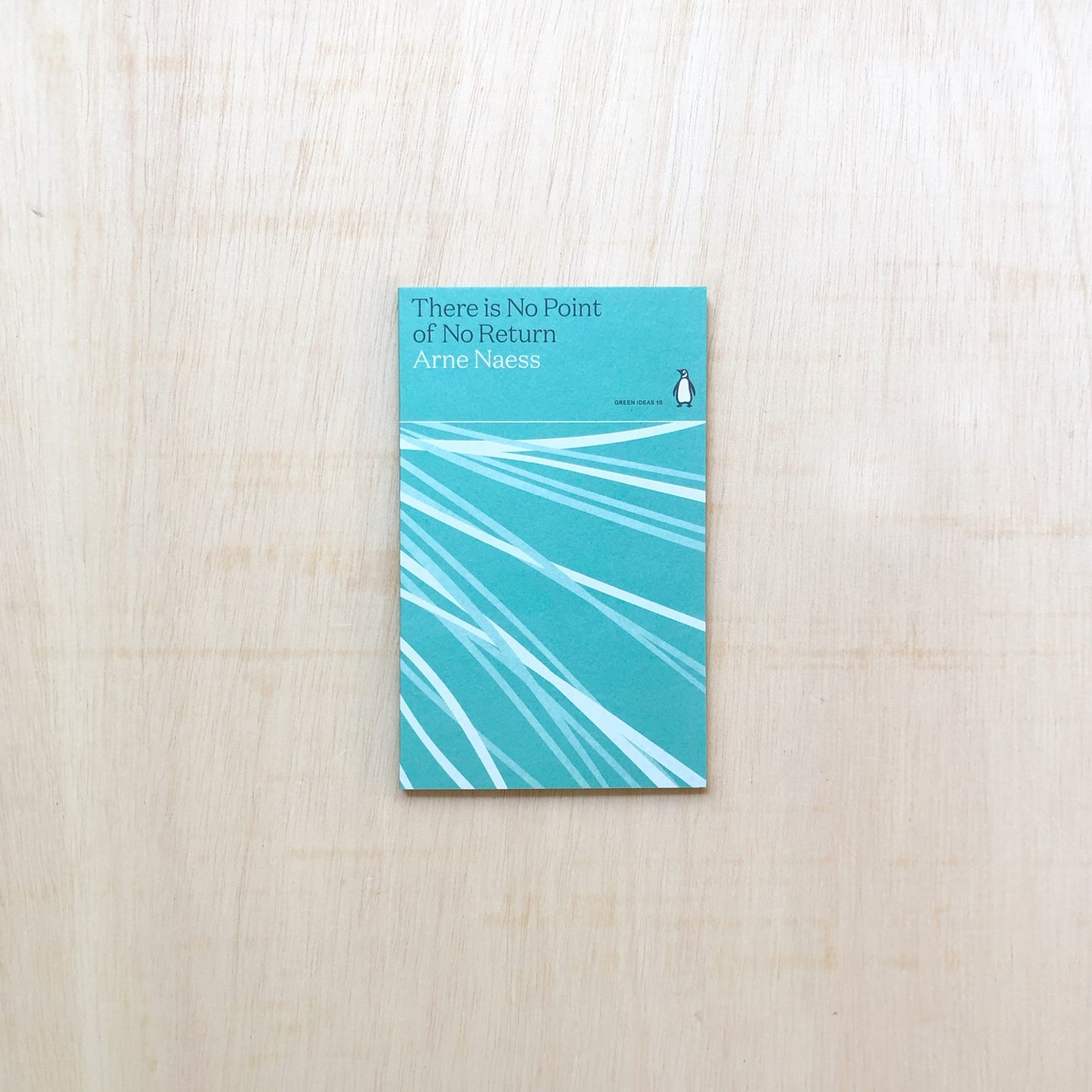 There is No Point of No Return - Green Ideas 18