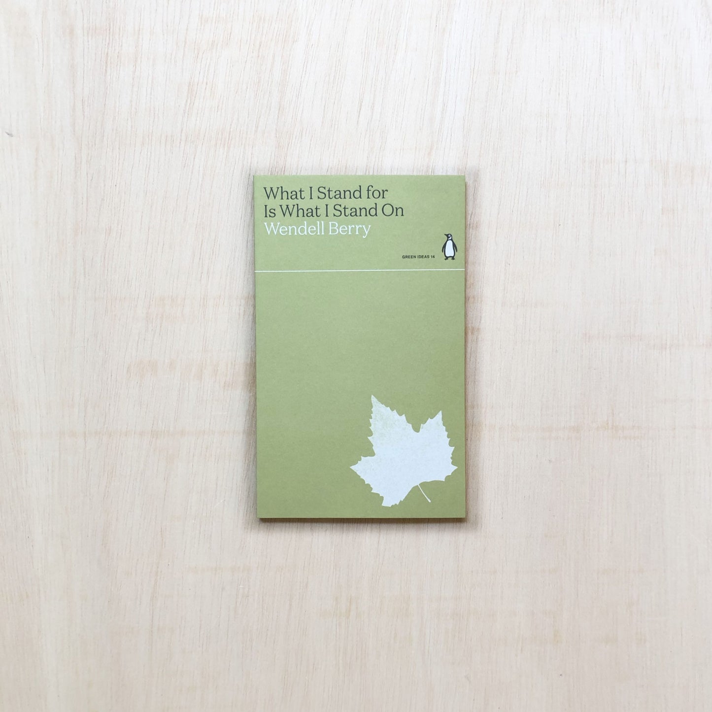 What I Stand for Is What I Stand On - Green Ideas 14