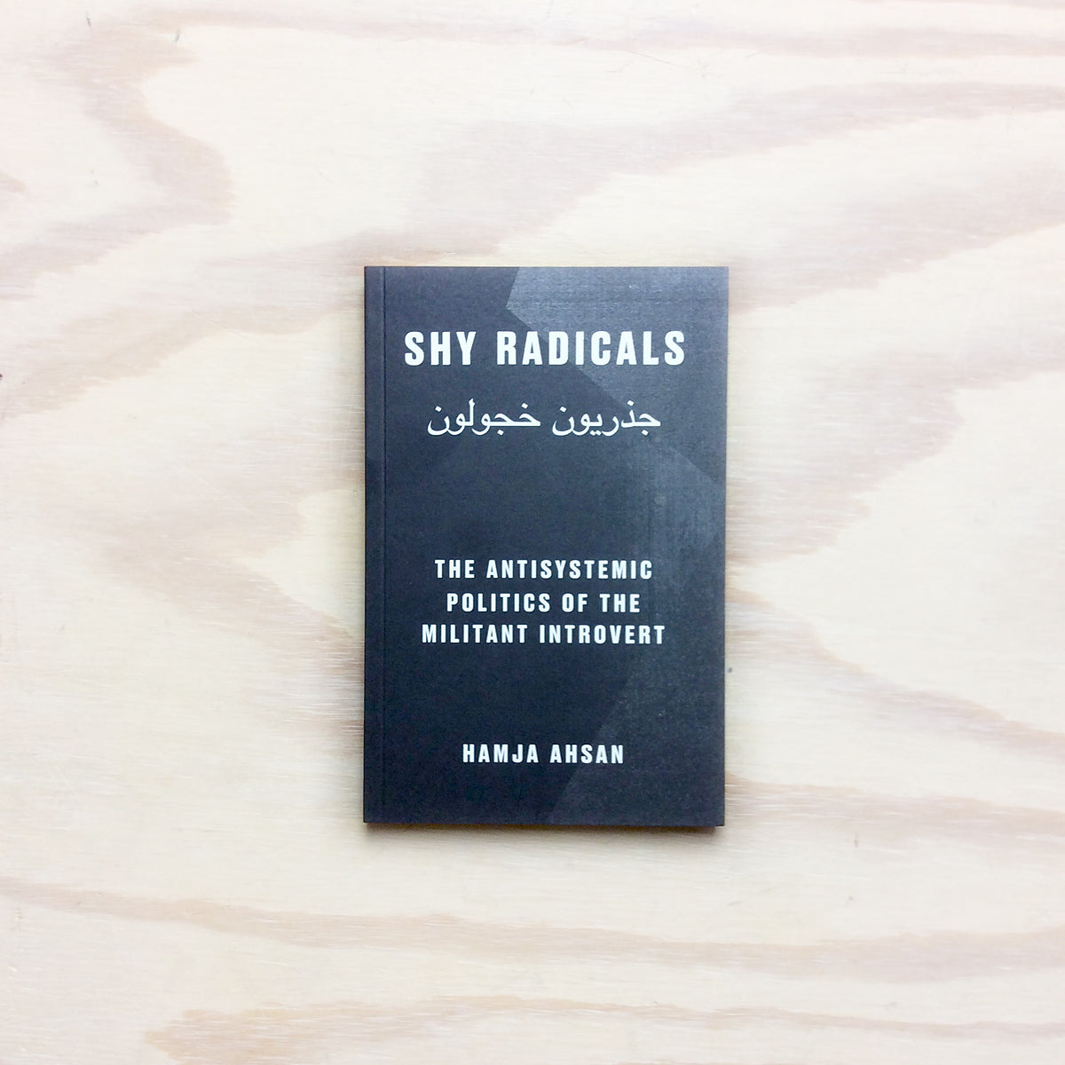 Shy Radicals: The Antisystemic Politics of the Militant Introvert