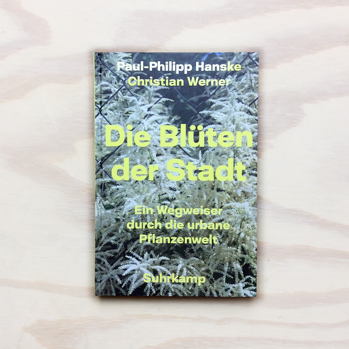 Die Blüten der Stadt - Ein Wegweiser durch die urbane Pflanzenw