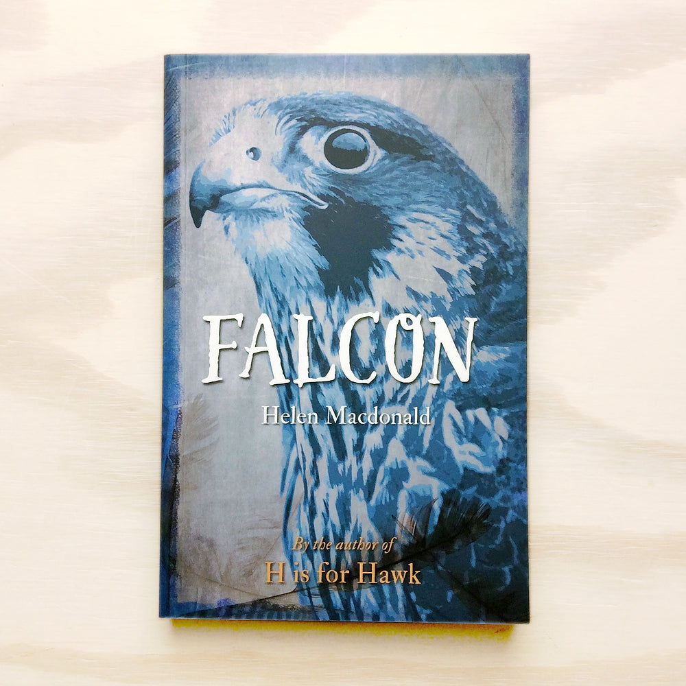 Falcon