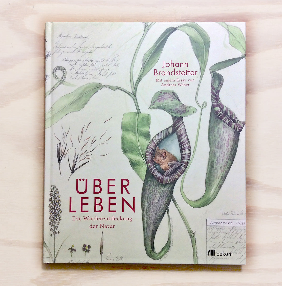 Über Leben - Die Wiederentdeckung der Natur