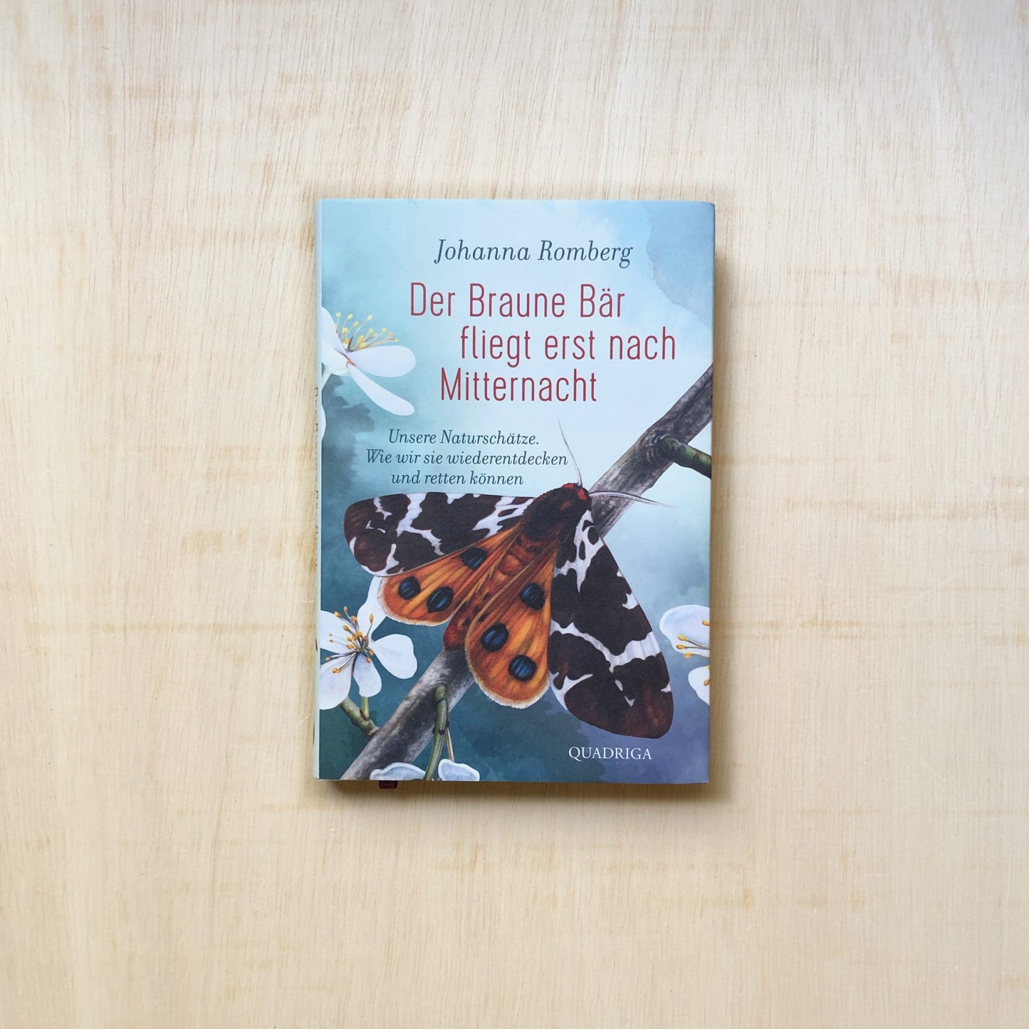 Der Braune Bär fliegt erst nach Mitternacht