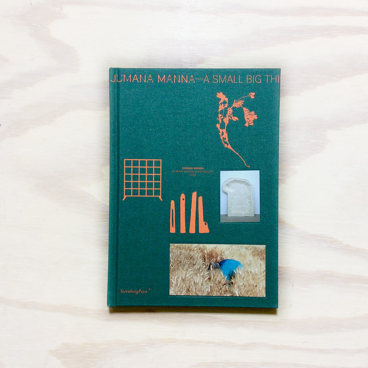 Jumana Manna - A Small Big Thing