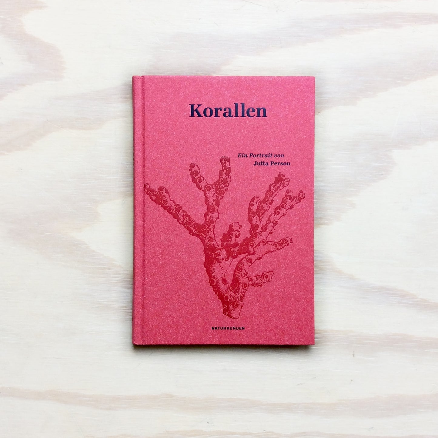 Korallen - Ein Portrait