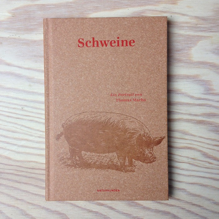 Schweine - Ein Portrait