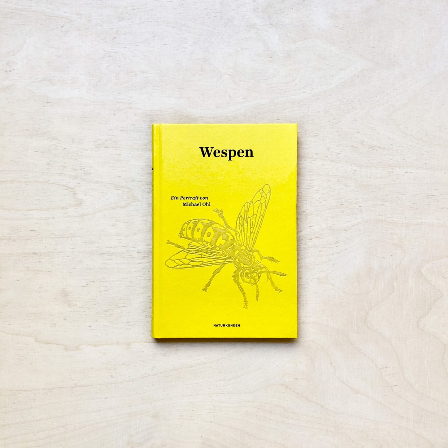 Wespen - Ein Portrait