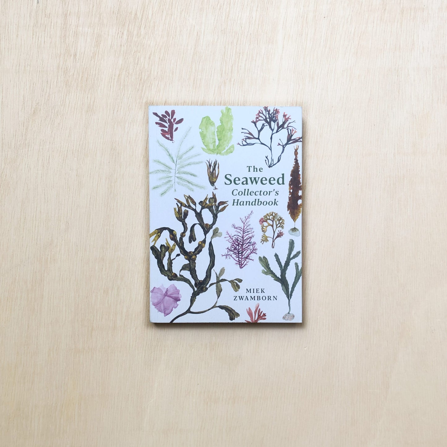 The Seaweed Collector's Handbook - From Purple Laver to Peacock's Tail