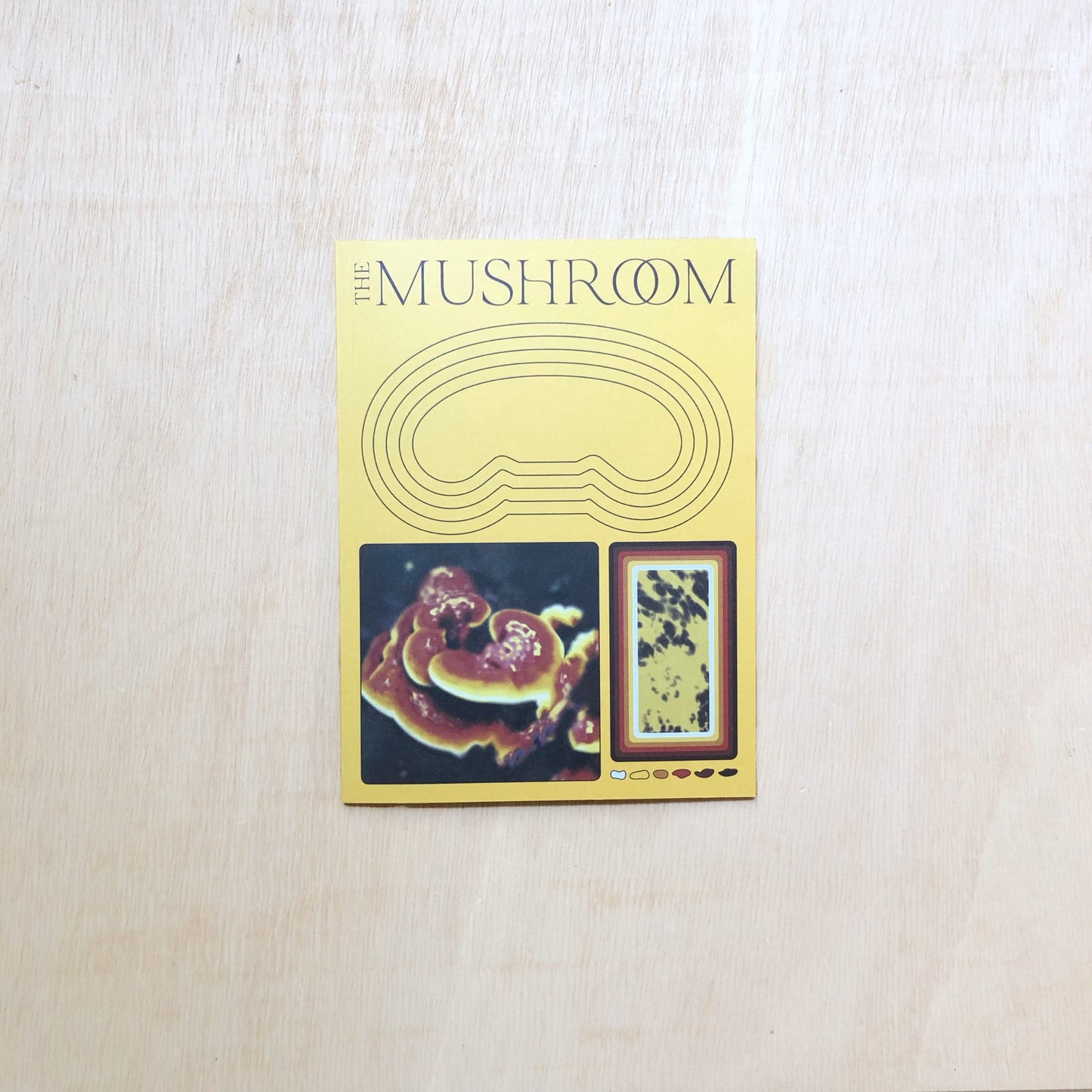 The Mushroom - Issue 01