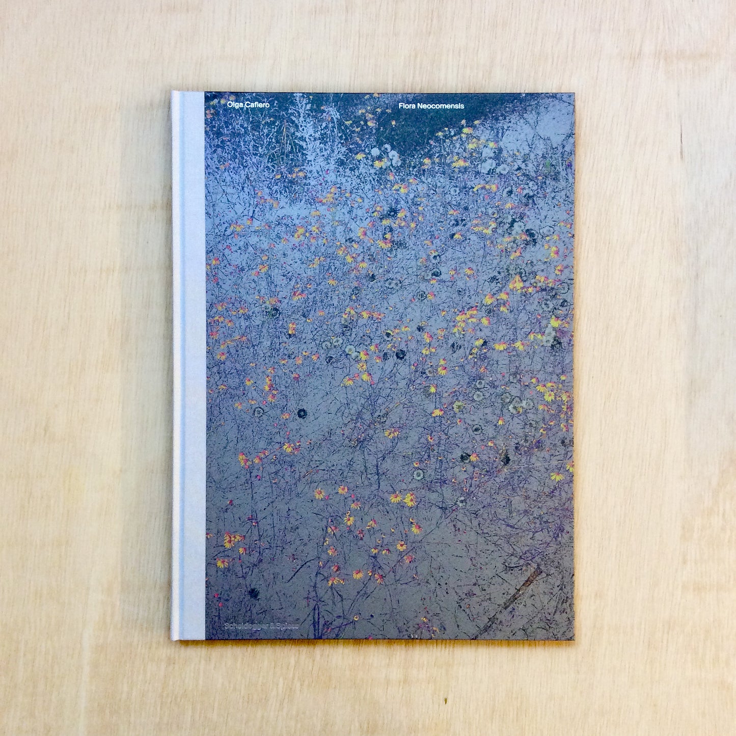 Flora Neocomensis - Fotografische Ermittlung Neuenburg 2019