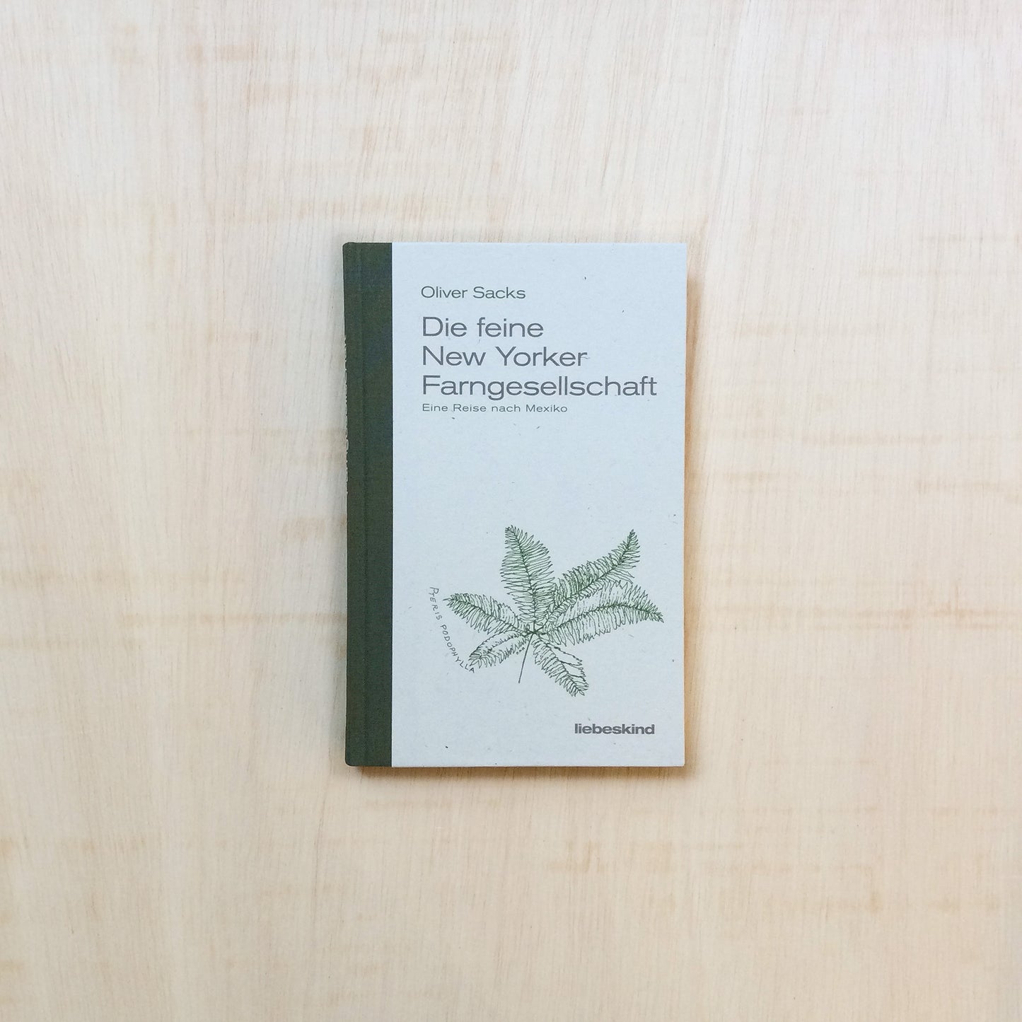 Die feine New Yorker Farngesellschaft - Eine Reise nach Mexiko