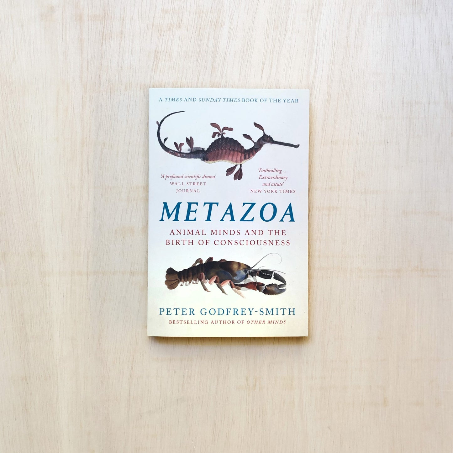 Metazoa - Animal Minds and the Birth of Consciousness - Paperback