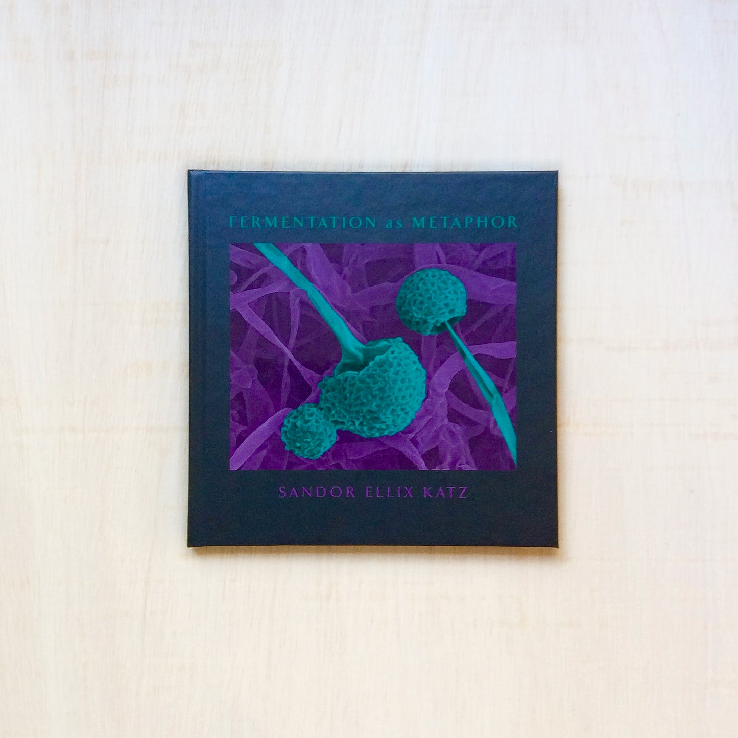 Fermentation as Metaphor