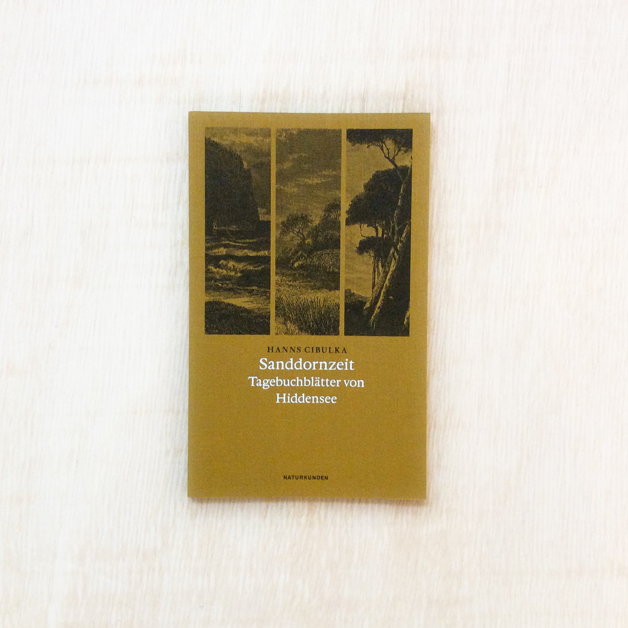 Sanddornzeit - Tagebuchblätter von Hiddensee