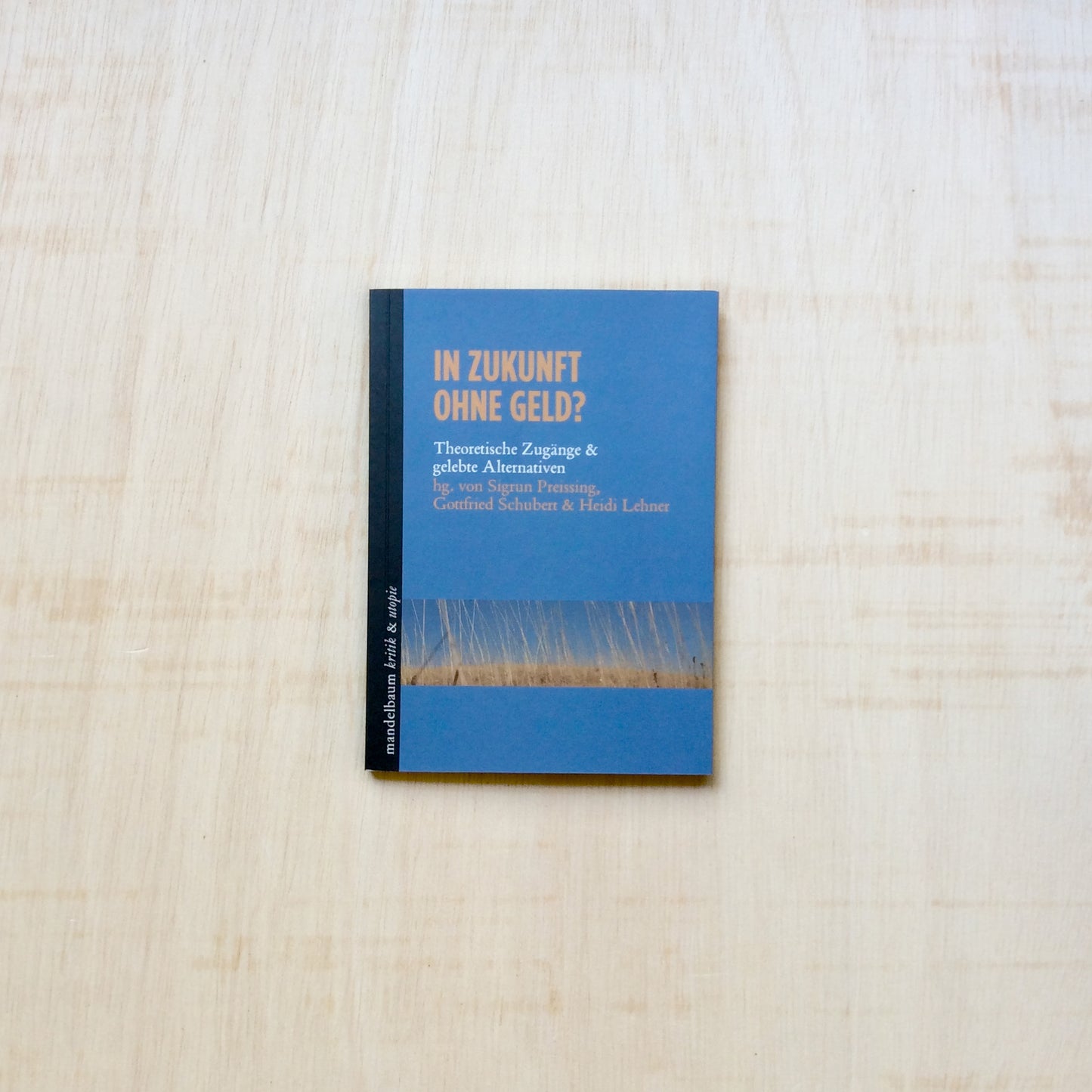 In Zukunft ohne Geld? - Theoretische Zugänge & gelebte Alternat