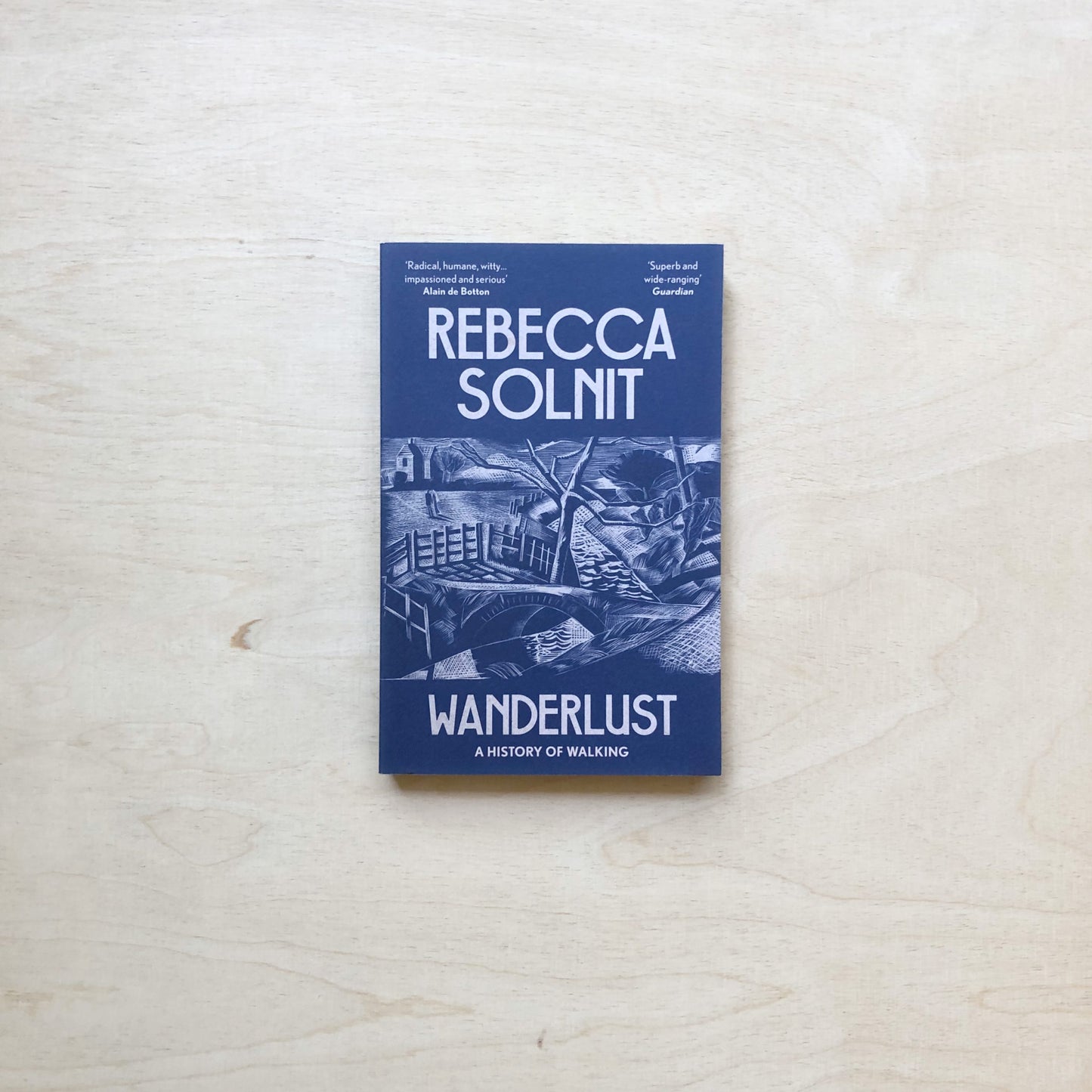 Wanderlust - A History of Walking (New Blue Edition)