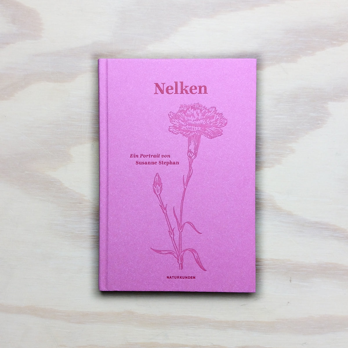 Nelken - Ein Portrait