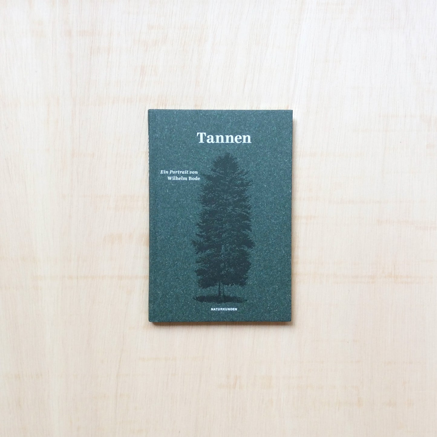 Tannen - Ein Portrait