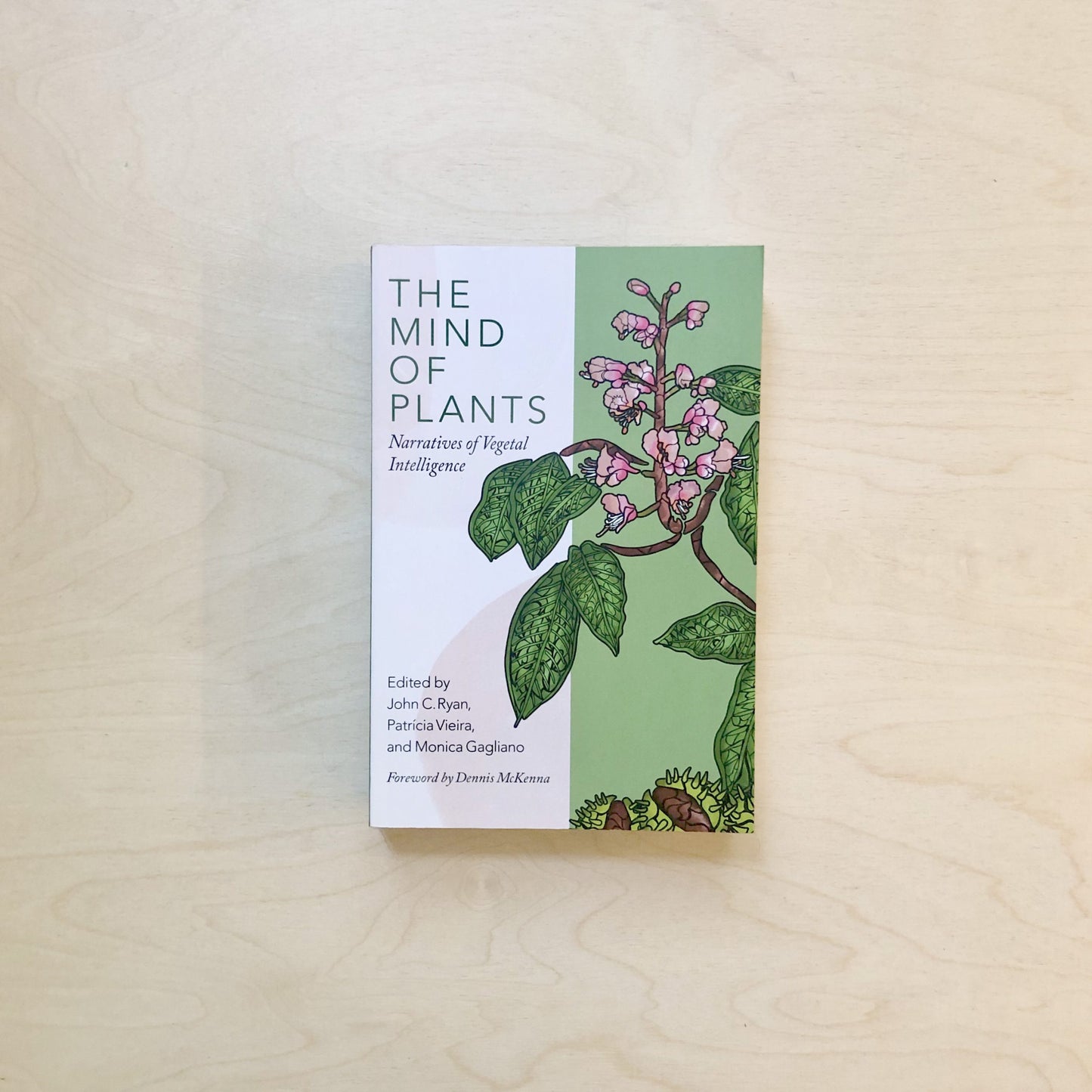 The Mind of Plants: Narratives of Vegetal Intelligence