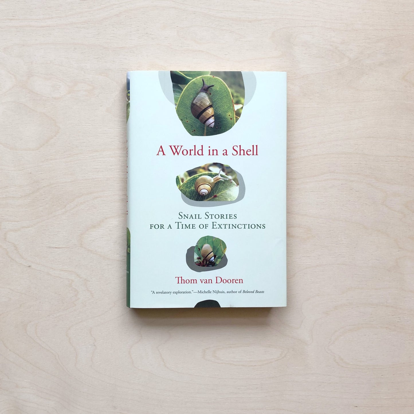 A World in a Shell - Snail Stories for a Time of Extinctions