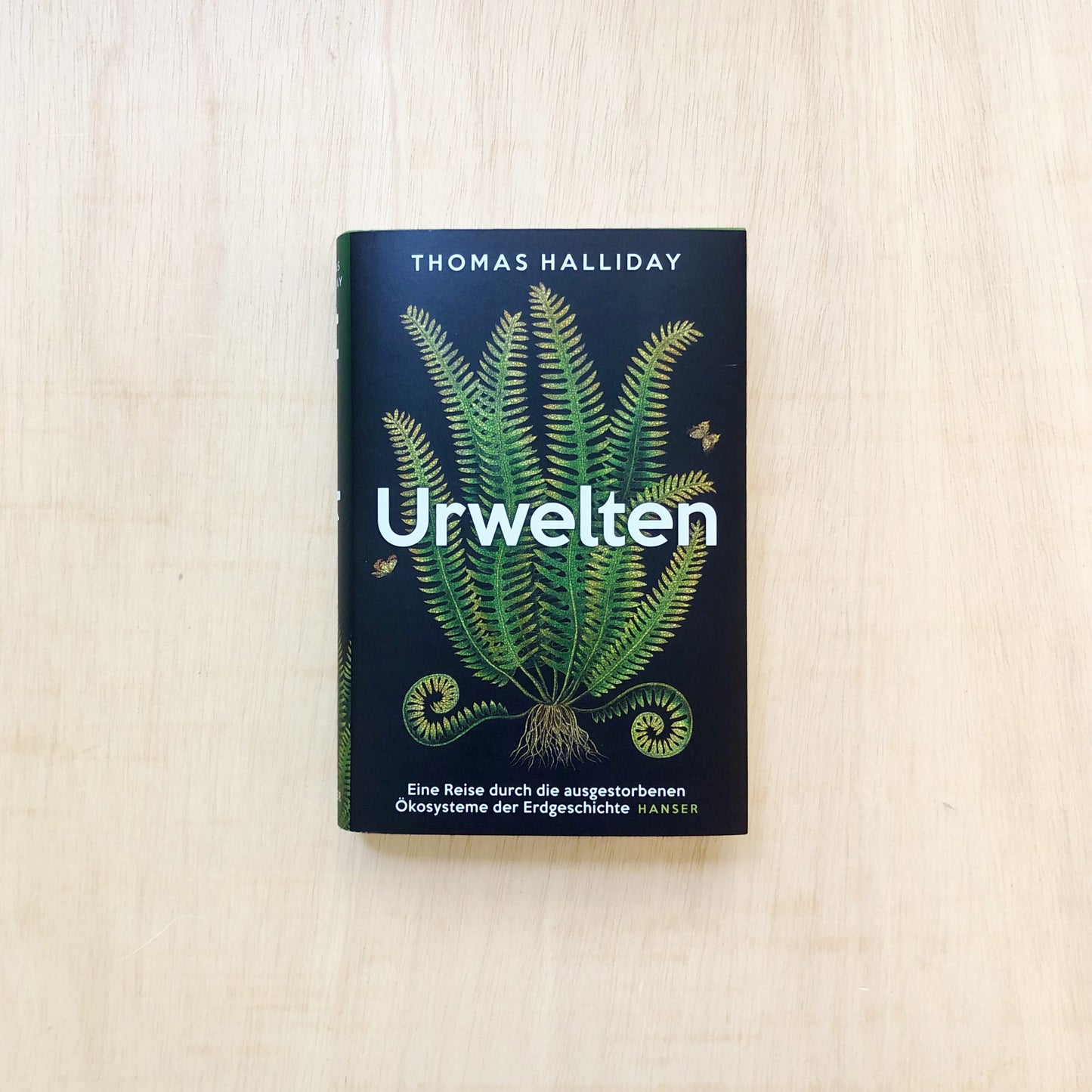 Urwelten - Taschenbuch