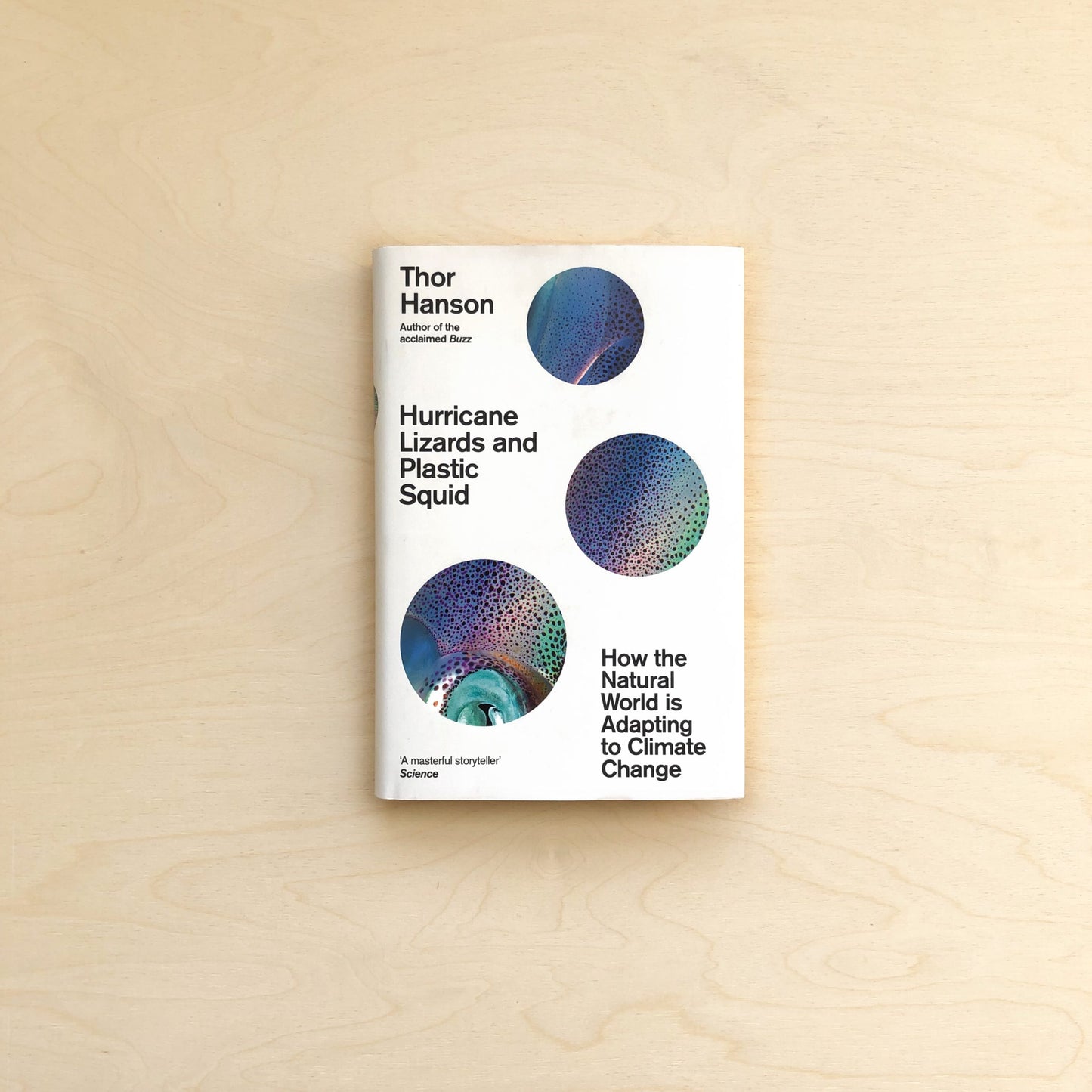 Hurricane Lizards and Plastic Squid