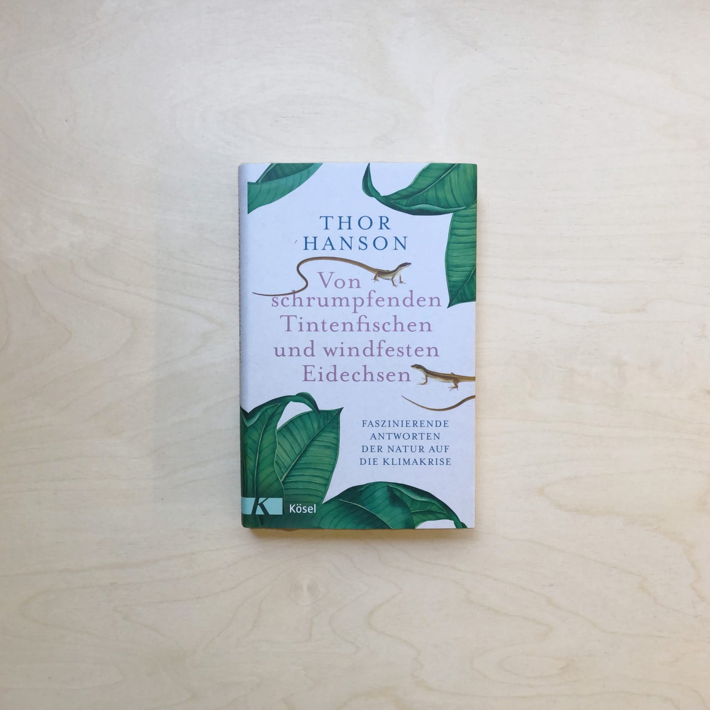 Von schrumpfenden Tintenfischen und windfesten Eidechsen