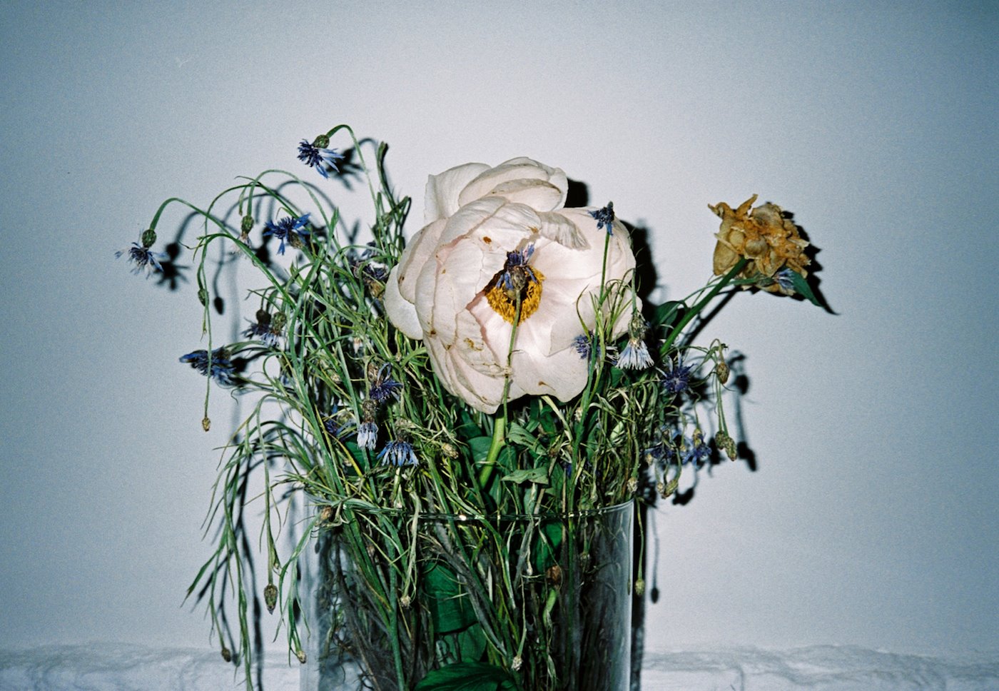 zabriskie_jenne_grabowski_broken_flowers