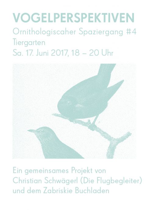 Vogelperspektiven – Ornithologischer Spaziergang #4 – Tiergarten