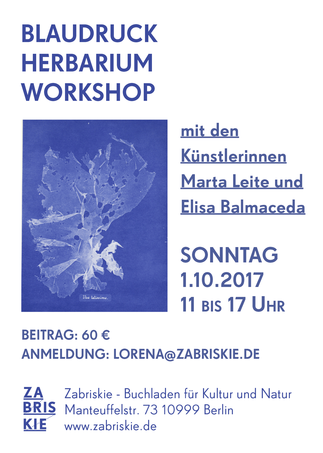 Blaudruck Herbarium Workshop | Cyanotype Herbarium Workshop