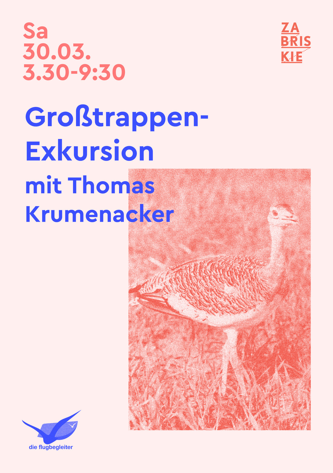Vogelperspektiven: Großtrappen-Exkursion mit Thomas Krumenacker