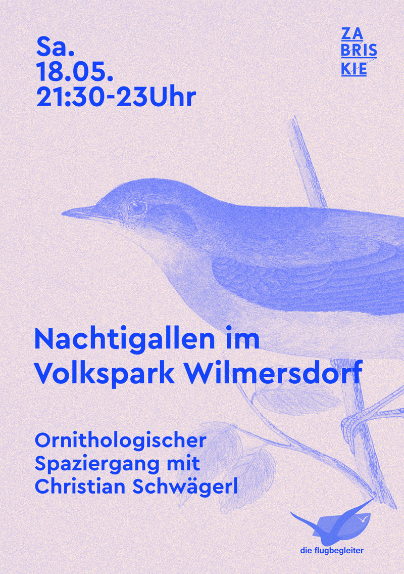 Vogelperspektiven: Nachtigallen im Volkspark Wilmersdorf