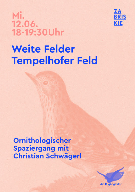 Vogelperspektiven: Weite Felder - Tempelhofer Feld