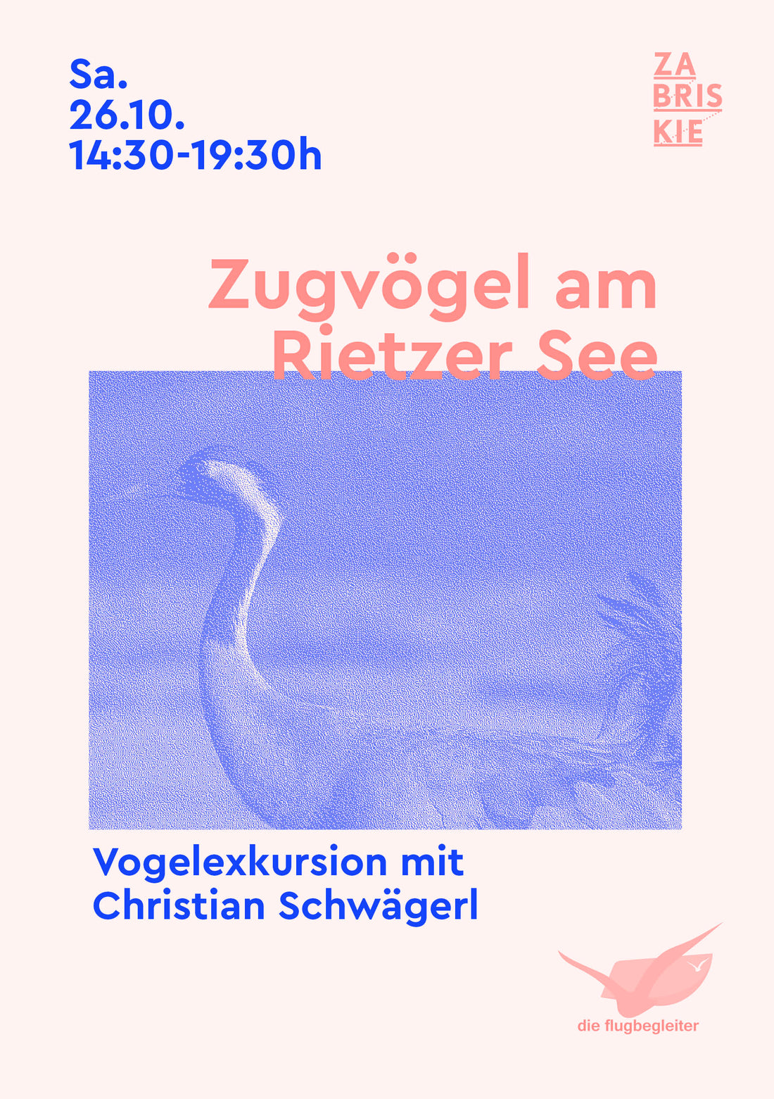 Vogelperspektiven: Zugvögel am Rietzer See