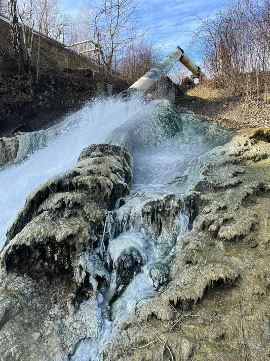 Field Guide and Exhibition Presentation: Soil and Friends & Toxic Dust