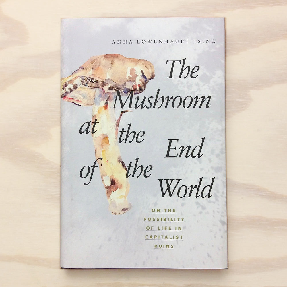 Between Us and Nature – A Reading Club #2: The Mushroom at the End of the World – On Possibility of Life in Capitalist Ruins