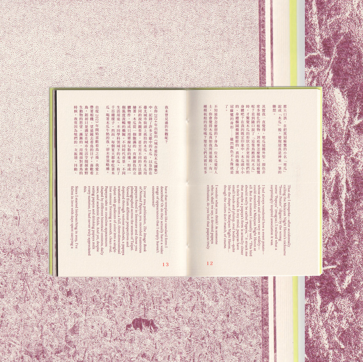 The Image Book of Nomad Papaya Bird